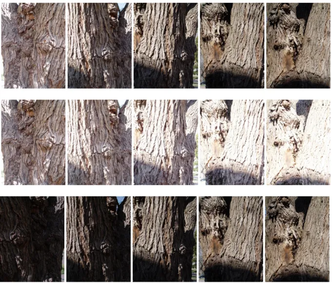 Figure 2.4: Effect of exposure change: (Top) Few sample images of the sequence taken with auto-exposure