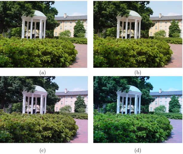 Figure 2.5: Effect of white balance. Photographs taken with different white balance set- set-tings (Sony F717) : (a) automatic white balance, (b) set to sunlight (c) set to fluorescent light (d) set to incandescent light.
