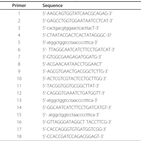 Table 1 Primers used in the experiments