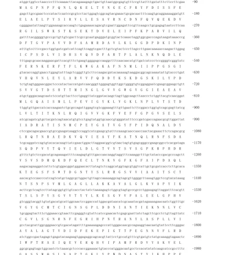 Figure 1 cDNA sequence and deduced amino acid sequence of IRE-BP 1. cDNA sequence and deduced amino acid sequence of IRE-BP 1.Stars denote the stop codon TAA