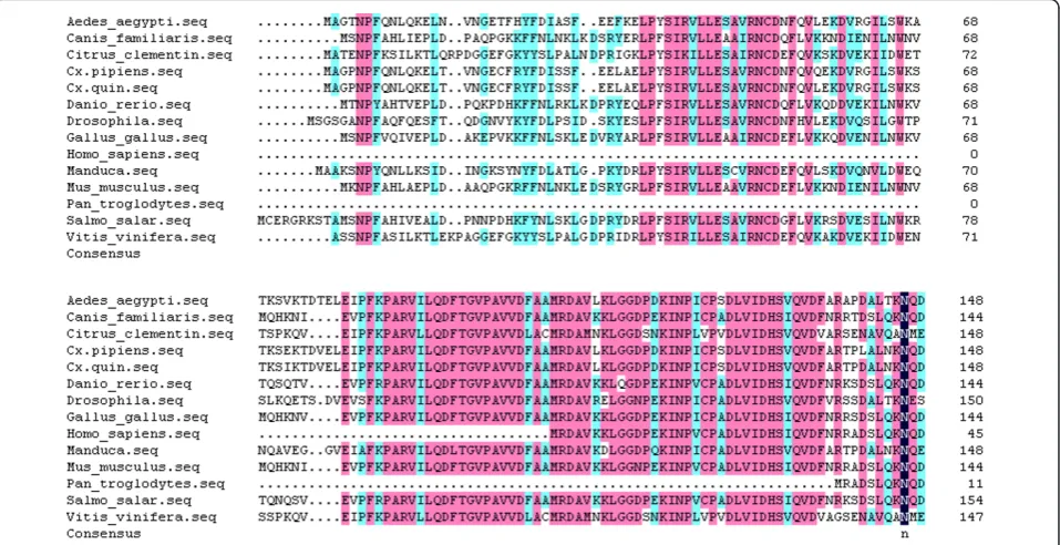 Figure 2 cDNA sequence and deduced amino acid sequence of IRE-BP 1. cDNA sequence and deduced amino acid sequence of IRE-BP 1.(continued)