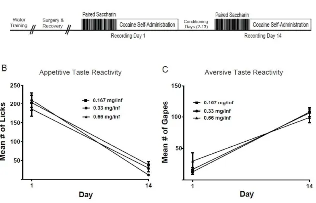 Figure 2.1. Schematic diagram of task timeline and taste reactivity across doses. (A) Schematic  diagram of task