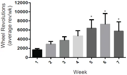 Figure  3.5.  Wheel  Running  Activity.  Wheel  running  across  7  weeks  of  abstinence