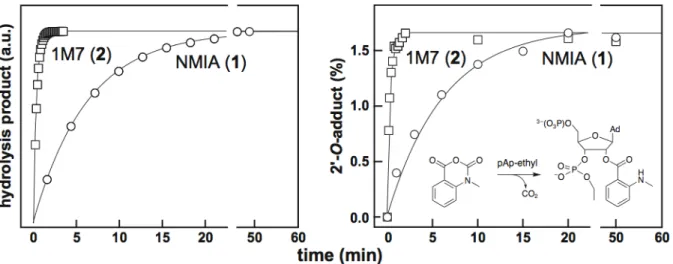 Figure  2.2.  Comparative  reactivity  of  1M7  and  NMIA  via  hydrolysis  (left)  and  2´‐O‐