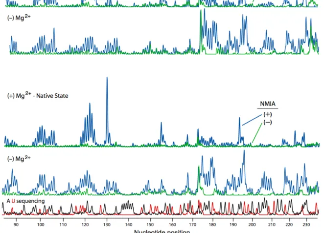 Figure  2.3.  Comparison  of  processed  capillary  electrophoresis  traces  for  SHAPE  experiments performed using 1M7 (upper panels) and NMIA (lower panels). Peak areas  correspond to position and relative extent of 2´‐O‐adduct formation at each nucleot