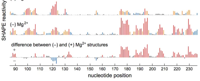 Figure  2.4.  Histograms  and  difference  plot  of  absolute  reactivities  for  SHAPE  experiments performed with 1M7 in the presence and absence of 6 mM Mg 2+ . 