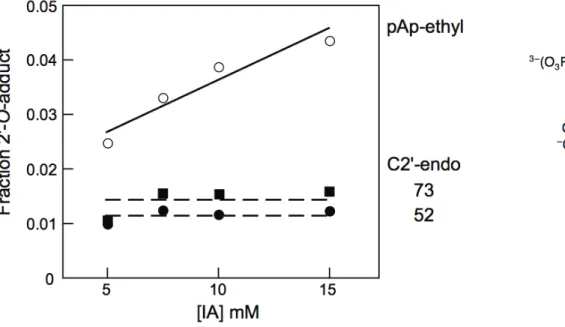 Figure  3.3.  Concentration  dependence  for  reaction  at  positions  52  and  73  in  the  C2´‐