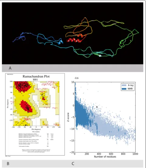 Figure 4 3-D structure of the HCV E2 protein. A. Predicted 3 Dimensional structure of the HCV Envelope protein 2 using Homology Modelling.B