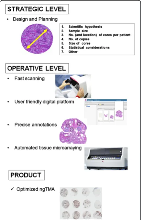 Figure 4 The ngTMA process: strategic and operative levels.The first step in the construction of ngTMAs is the design andplanning in terms of the scientific hypothesis, available material, caseselection, as well as TMA and statistical considerations