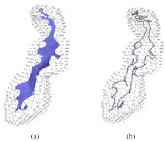 Figure 2.17: Brain Model (78 × 110 × 60 image, 18944 boundary voxels): Voxel centers are shown as points