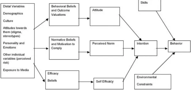 Figuur 2: integrative model of behavioral prediction (Fishbein &amp; Yzer, 2003) 