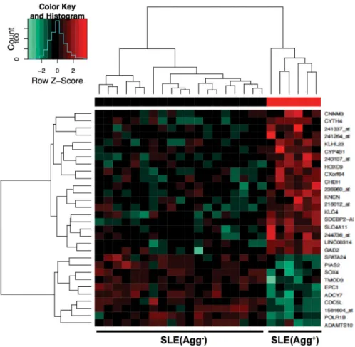 Figure 5. Signature gene expression pattern in MAVS aggregation positive patients