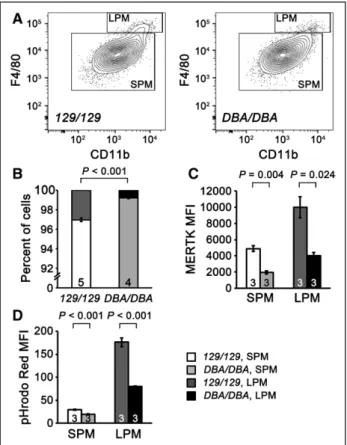 Figure 5. Small peritoneal macrophages (SPMs) and large perito- perito-neal macrophages (LPMs) in Aath4a DBA/DBA  mice