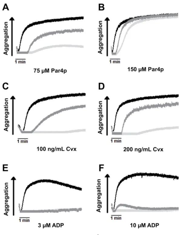 Figure 4. Intermediate aggregation response of Cdg1 low  platelets compared to controls (A-F) Representative aggregometry traces for WT (black line), Cdg1 −/−  (light grey), and  Cdg1 low  (dark grey) platelets activated with the indicated agonists