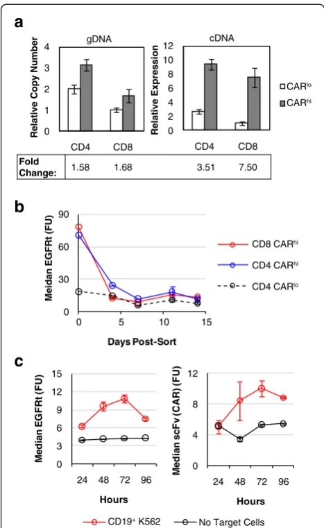 Fig. 5 CARhi T cells arise from transient CAR transcript upregulation.a Genomic copy number and mRNA expression of CARhi andCARlo populations as determined by quantitative PCR relative to thehousekeeping gene β-actin