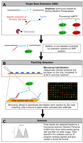 Figure 1Schematic representation of the FlexiChip analysis methodSchematic representation of the FlexiChip analysis method