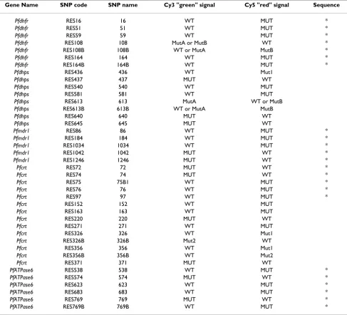 Table 1: Expected spot signals for SNP positions processed by the algorithm (Results are given as a comparison with 3D7 genotype; WT = Wild type, MUT = Mutation) 
