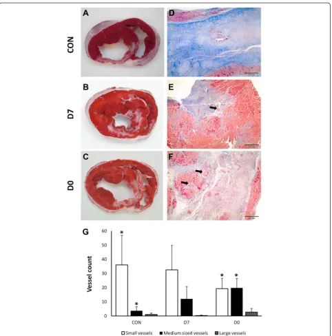 Fig. 5 Typical histological and macroscopical appearance of the infarcts. Panels a through c: TTC staining shows the extension of infarcted tissuein the different groups