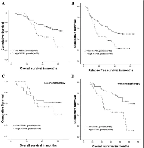 Figure 2 Overall survival and relapse-free survival analysis in lung adenocarcinoma patients according to NIPBL expression.survival in patients treated with chemotherapy by NIPBL expression (analysis of tumor-specific overall survival by NIPBL expression i