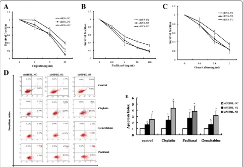 Figure 4 NIPBL knockdown enhanced cellular sensitivity to chemotherapy drugs, and increased chemotherapy drug-induced apoptosis in theH1299 cell line