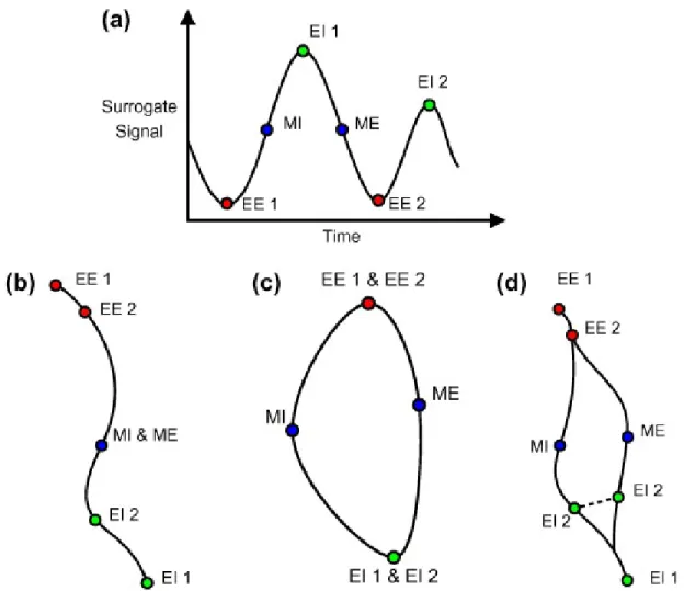 Figure 2.5: Illustration of the various types of motion trajectories when modeling. The respiratory surrogate signal (a) can be modeled simply by a linear prediction (b)