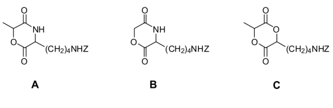 Figure 1.2.  Functionalized monomers derived from lysine 