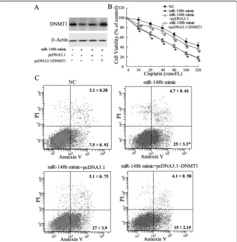 Figure 6 Effect of overexpressed DNMT1 on cisplatin sensitivity of A549/DDP cells. A549/DDP cells transfected with pcDNA3.1-DNMT1 or pcDNA3.1represented as mean ± SD