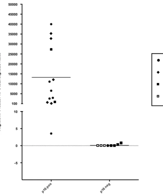 Figure 1. HPV sequence reads in p16-positive and -negative tumors
