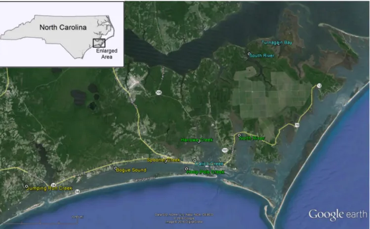 FIG 1 Locations of shellﬁsh harvest sites. The colors of the site names indicate the type of shellﬁsh harvested