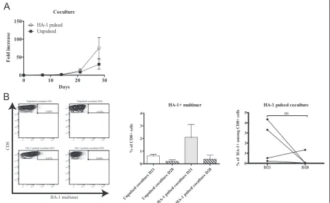 Figure 1 Generation of MiHA-specific T-cell lines in coculture.of PBMCs seeded at the beginning of the coculture step; (A) Kinetics of culture growth as represented by the fold increase in cell count from the number n = 4