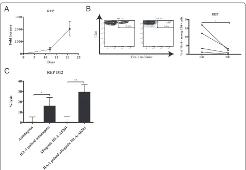 Figure 3 Expansion of MiHA-specific T-cell lines in REP.number of IFN (A) Kinetics of culture growth as represented by the fold increase in cell count from theγ-secreting cells seeded at the beginning of the REP step; n = 4