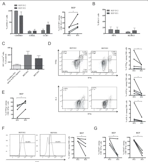 Figure 4 Induction of functional exhaustion in REP over time. (A) Left: CD45RO, CD62L and CCR7 expression on HA-1 multimer-positive cells inREP and right: increase of the percentage of CD8+ HA-1+ CCR7+ for each donor over time