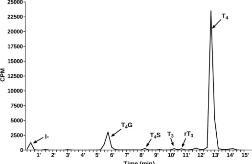Figure 2.1 Representative chromatogram of T 4  and its metabolites in medium.   