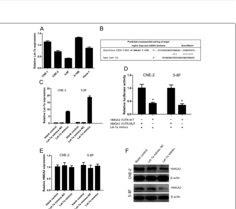 Figure 1 Expression of let-7a and HMGA2 in NPC clinical samples. (A-B) Let-7a was downregulated and HMGA2 was upregulated in NPC(n = 48) compared with normal nasopharyngeal epithelial tissues (n = 20)