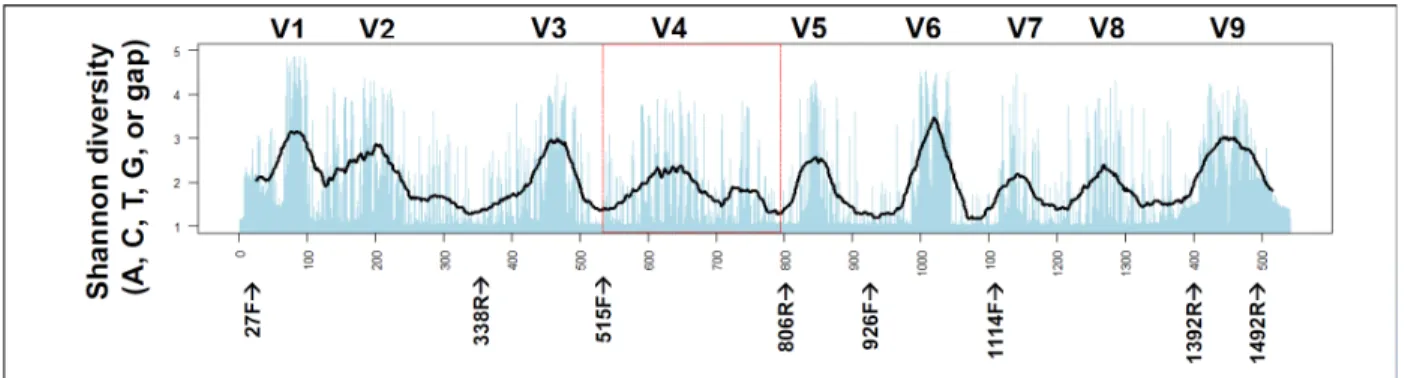 Figure 3.4 Reference map of the 16S rRNA gene. Map shows variable regions V1-V9  (above  chart)  and  the  locations  of  common  primers  (based  on  conventional  E