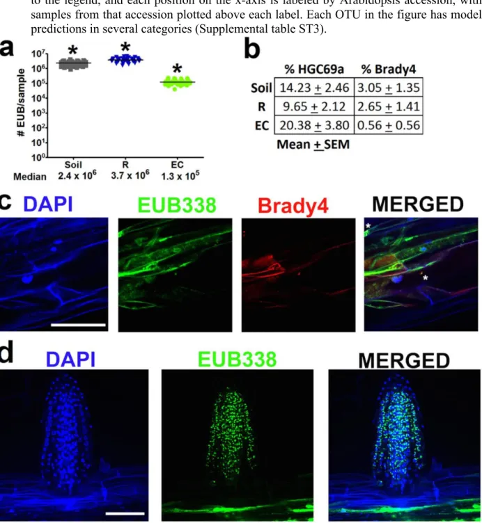 Figure 2.16 Quantification of microbes in the three sample fractions using CARD-FISH. 