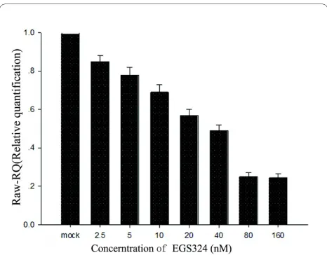 Figure 5 Inhibition directed by DNA-based EGS is dose-depen-dent. Quantitative RT-PCR showed that when the concentration of EGS324 was 2.5 nM, the inhibition efficiency was 15%, and then 5 nM was 22%, 10 nM was 31%, 20 nM was 43%, 40 nM was 51%, 80 nM was 
