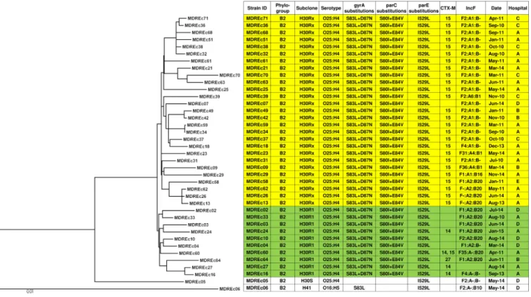 FIG 1 Maximum-likelihood phylogram with metadata for 39 multidrug-resistant E. coli ST131 strains