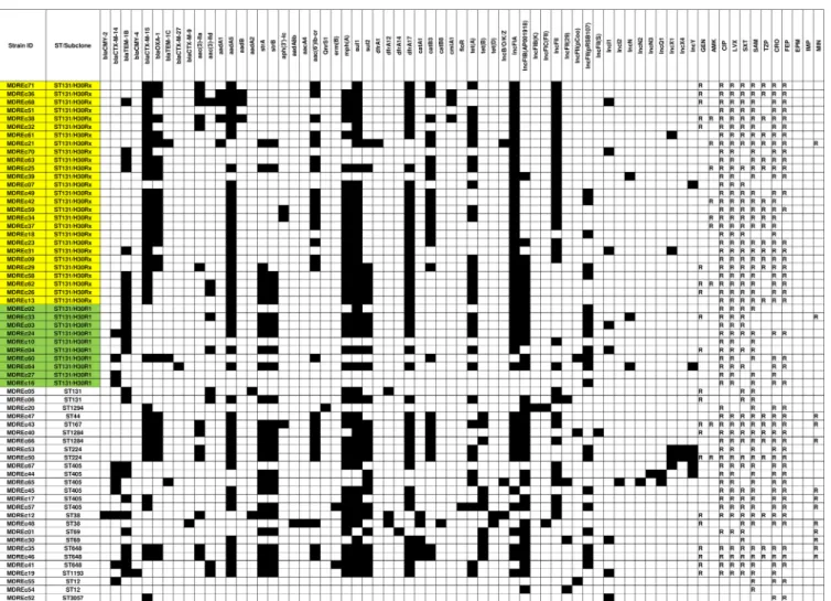 FIG 3 Distribution of acquired resistance genes and plasmids within 63 multidrug-resistant E