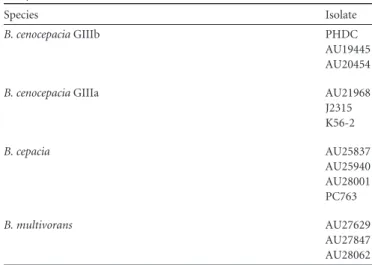 TABLE 1 Burkholderia cepacia complex clinical isolates used in this study