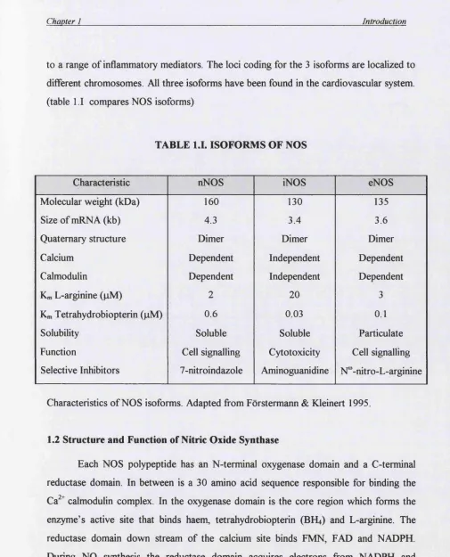 TABLE 1.1. ISOFORMS OF NOS