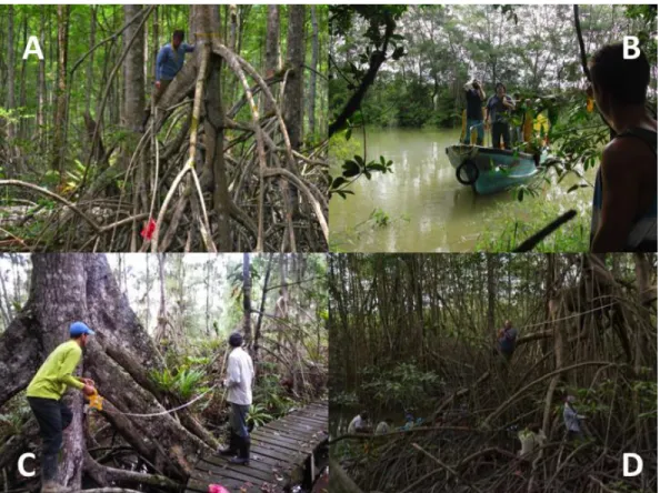 Figure 3. Field data collection 
