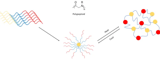 Figure 1.7 Illustration of Polypeptoid-based materials undergoing phase transitions utilizing  heating and cooling