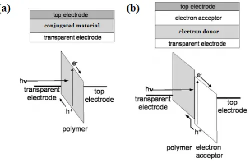 Figure 1-1. Diagrams of device architecture and function of: (a) single layer organic  solar cell device; (b) bilayer solar cell device.