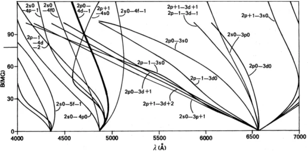 Figure 1.3: The theoretical prediction of Zeeman splitting for H α, H β, and Hγ as a function of magnetic field strength