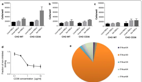 Fig. 4 Antibody recognition of CD36 is also reduced as a function of time in culture. a Day 1 after seeding significantly higher levels of CD36 was detected when compared to WT cells without CD36 (p = 0.03)
