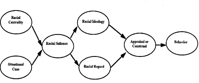 Figure 1. The process by which racial identity influences behavior at the level of a specific  event