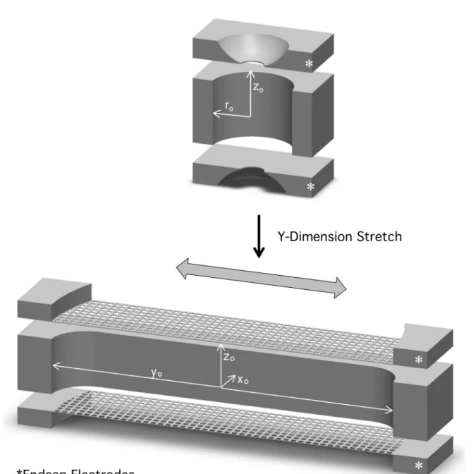 Figure 1.7: 3D cross-section of CIT (top) and SLIT (bottom). Both traps consist of a ring  electrode and two endcap electrodes