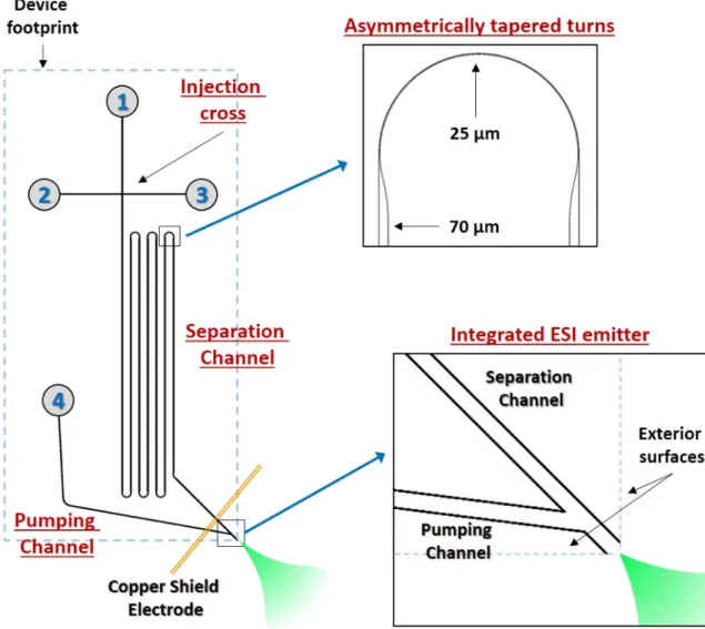 Figure 1.9: Schematic of a typical CE-ESI microchip device. The device consists of buffer  reservoirs (labeled with numbers), an injection cross, a serpentine separation channel with  asymmetically tapered turns (see inset), a pumping channel that intersec