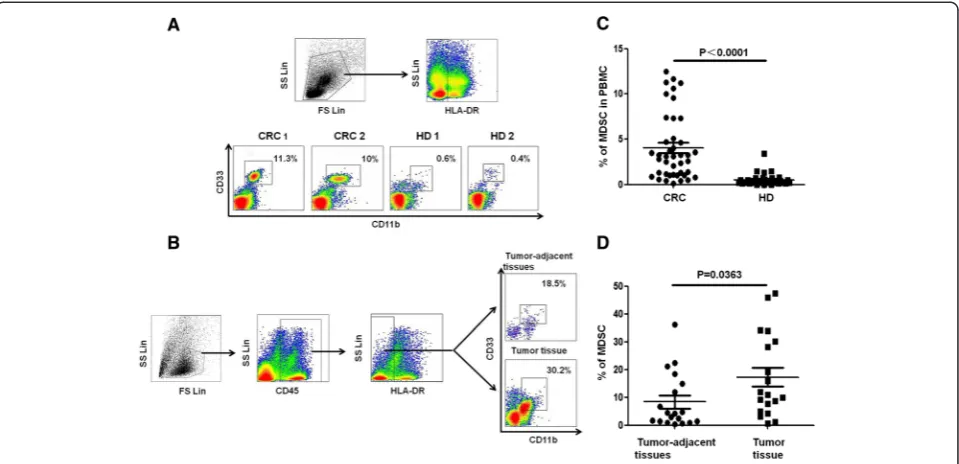 Figure 1 Distribution of MDSCs in patients with CRC. (A) Gating strategy for the assessment of the MDSC population using flow cytometry.HLA-DR− cells were gated from live PBMCs, and CD33+CD11b+ cells were further gated as MDSCs